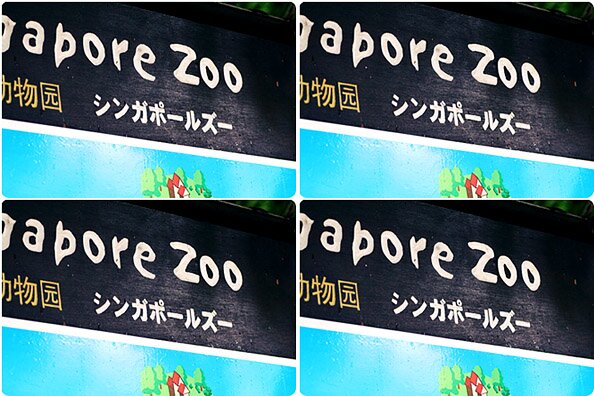 zoo1banner.jpg
